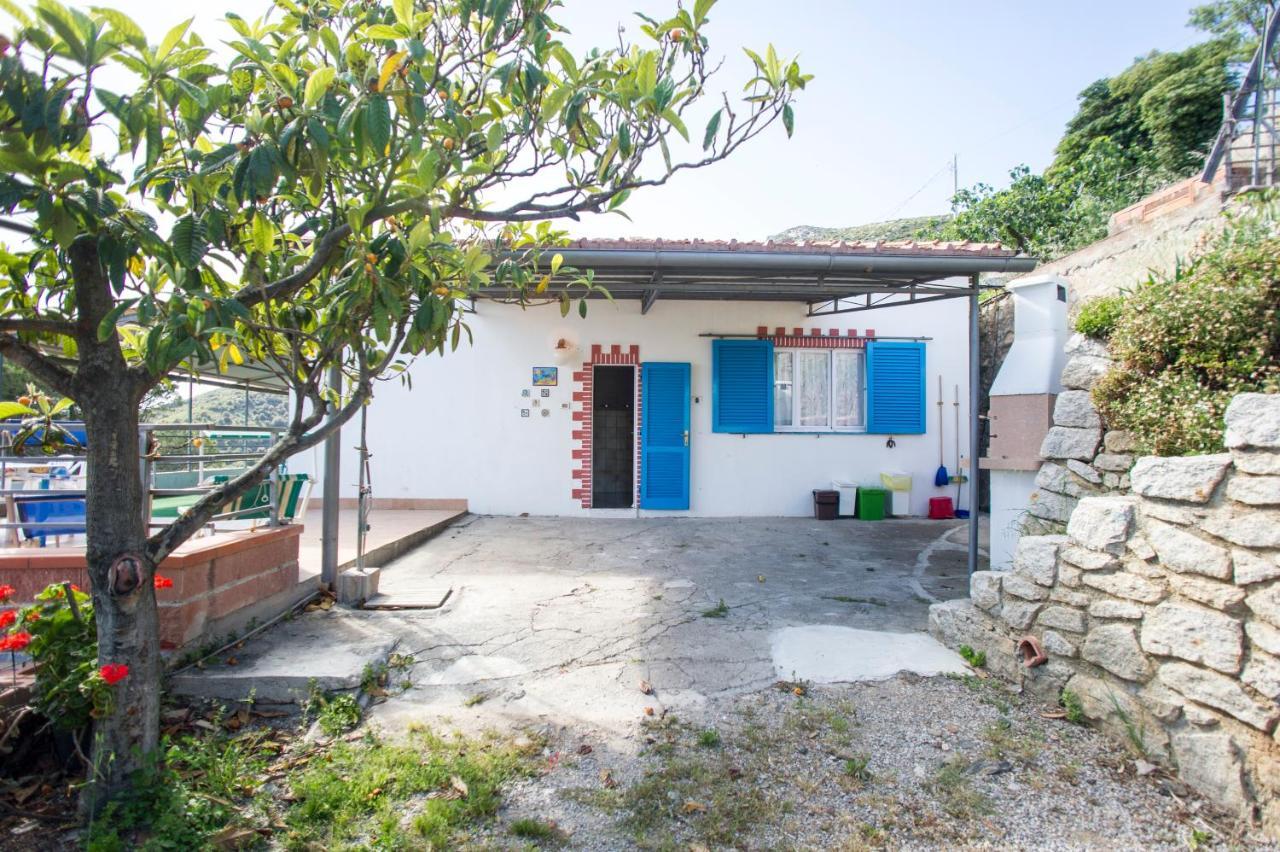Villa La Terrazza Sul Mare - Goelba Fetovaia Eksteriør bilde